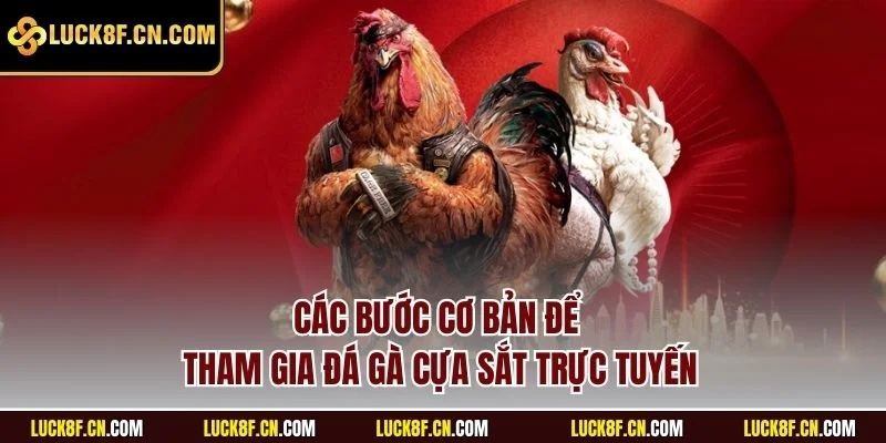 Các bước cơ bản để tham gia đá gà cựa sắt trực tuyến